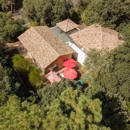 Bikiak, Proche De La Plage, Coeur Mouleau Villa Arcachon